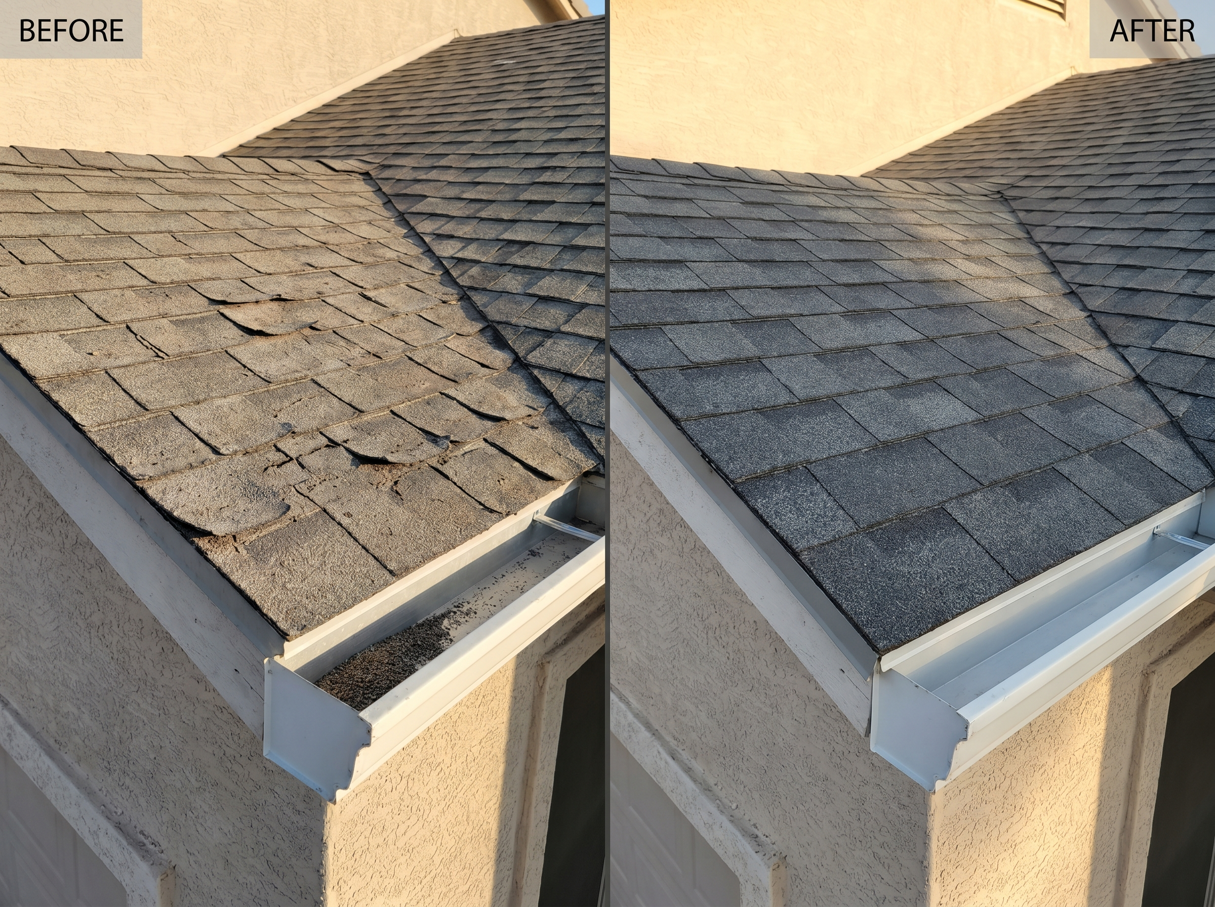 Shingle repair project